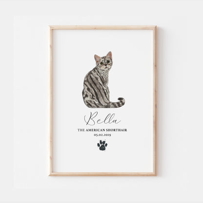 Personalised Tabby American Shorthair Cat Breed Watercolour Print