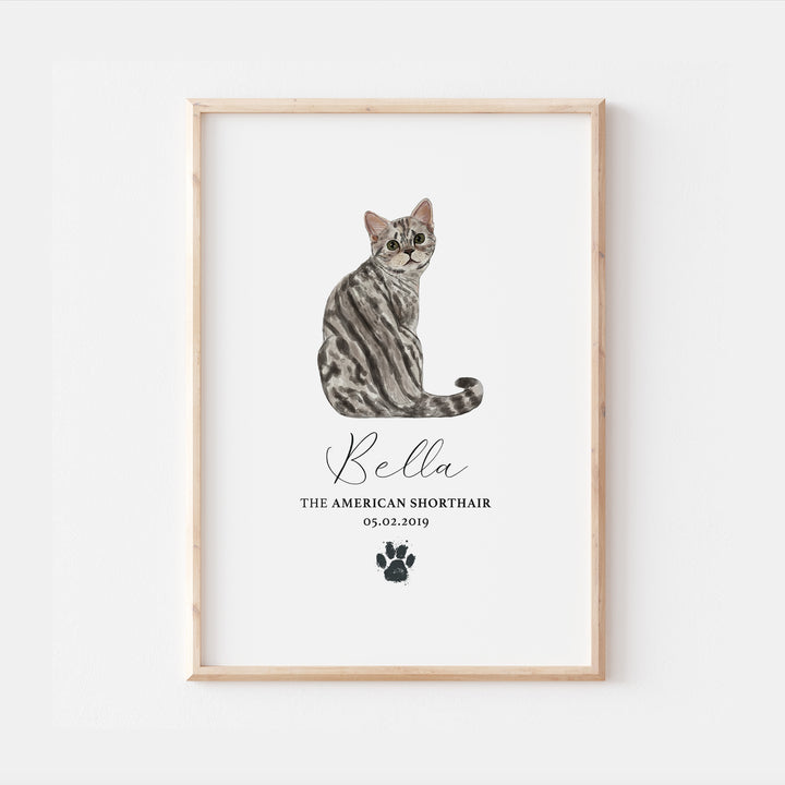 Personalised Tabby American Shorthair Cat Breed Watercolour Print