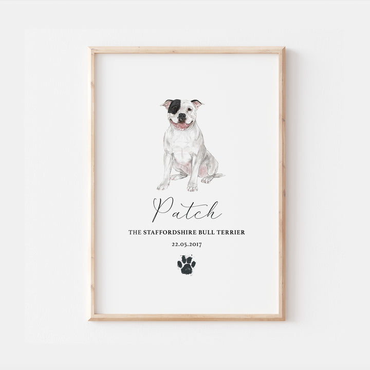 Personalised White Patch Staffordshire Bull Terrier Dog Watercolour Print