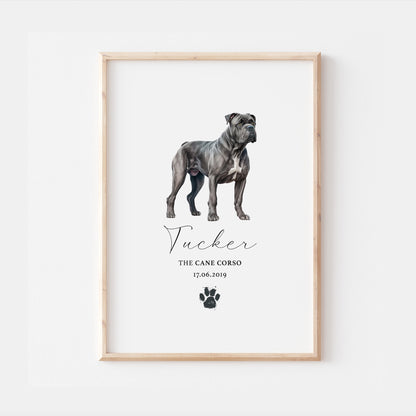 Personalised Cane Corso Dog Watercolour Print