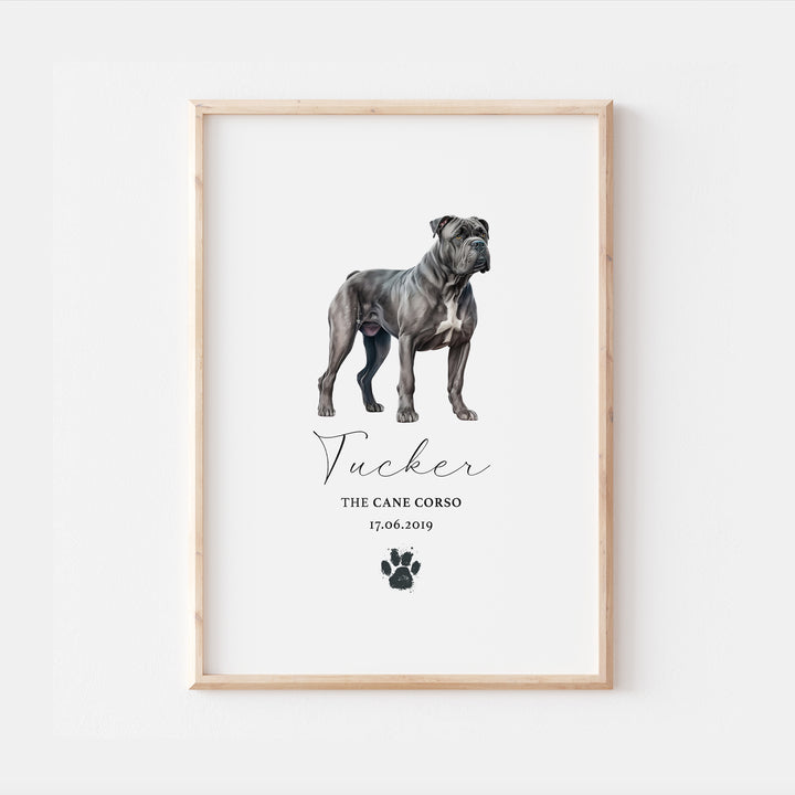 Personalised Cane Corso Dog Watercolour Print