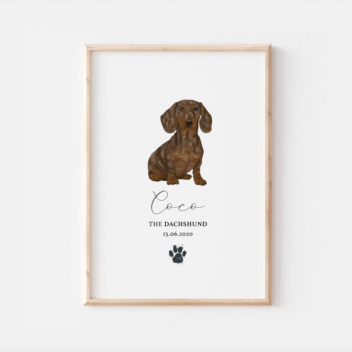 Personalised Dapple Chocolate Dachshund Dog Watercolour Print