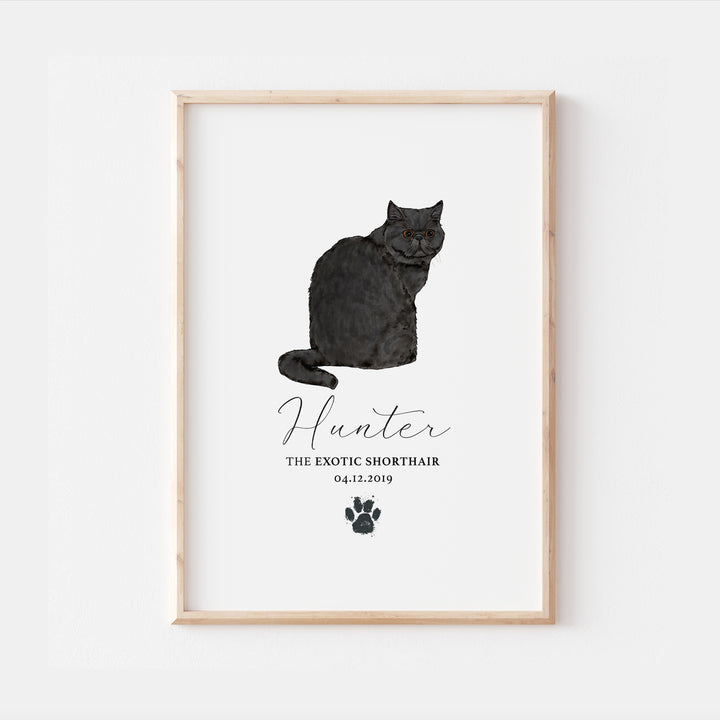 Personalised Black Exotic Shorthair Cat Breed Watercolour Print