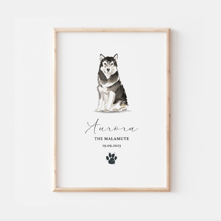 Personalised Malamute Dog Watercolour Print