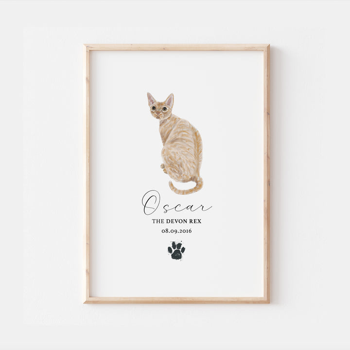 Personalised Cream Devon Rex Cat Breed Watercolour Print