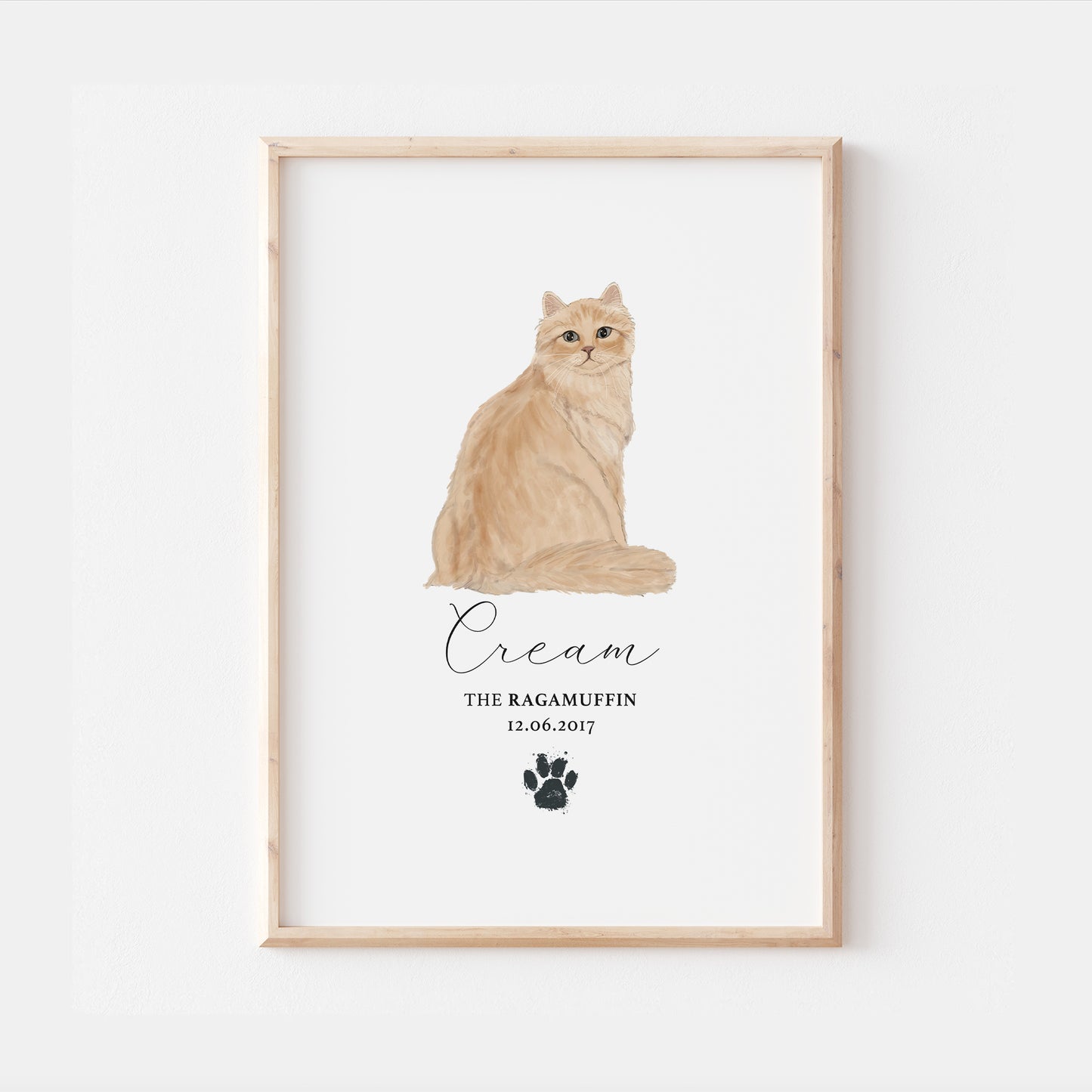 Personalised Cream Ragamuffin Cat Breed Watercolour Print