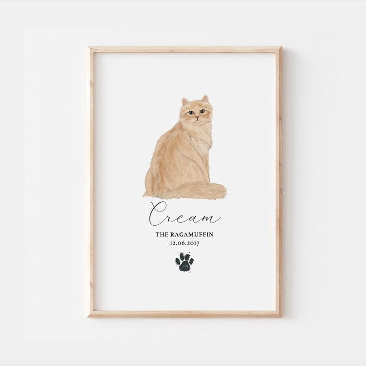 Personalised Cream Ragamuffin Cat Breed Watercolour Print