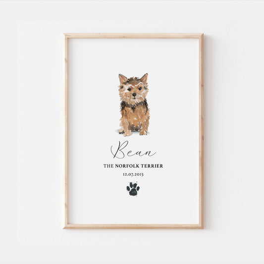 Personalised Norfolk Terrier Dog Watercolour Print