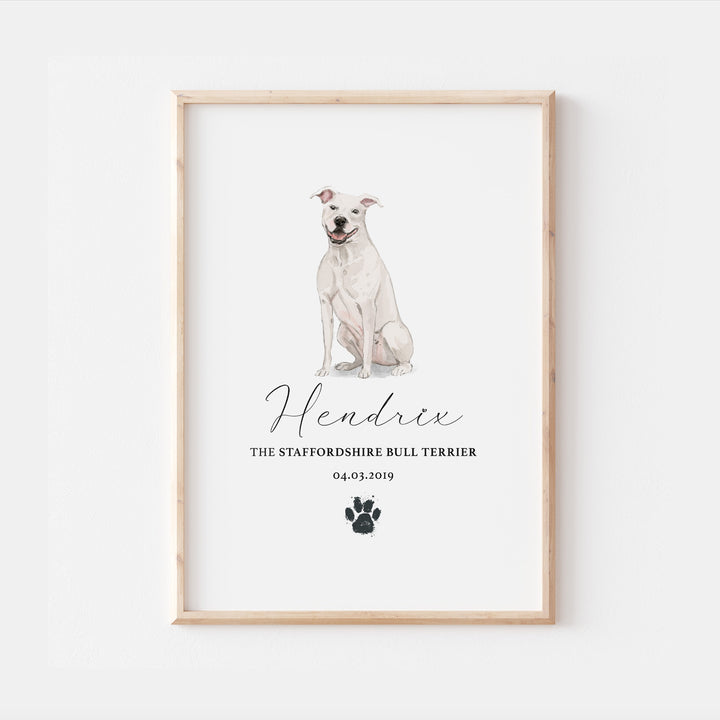 Personalised White Staffordshire Bull Terrier Dog Watercolour Print