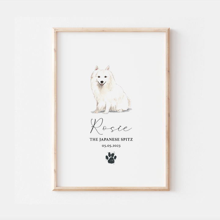 Personalised Japanese Spitz Dog Watercolour Print