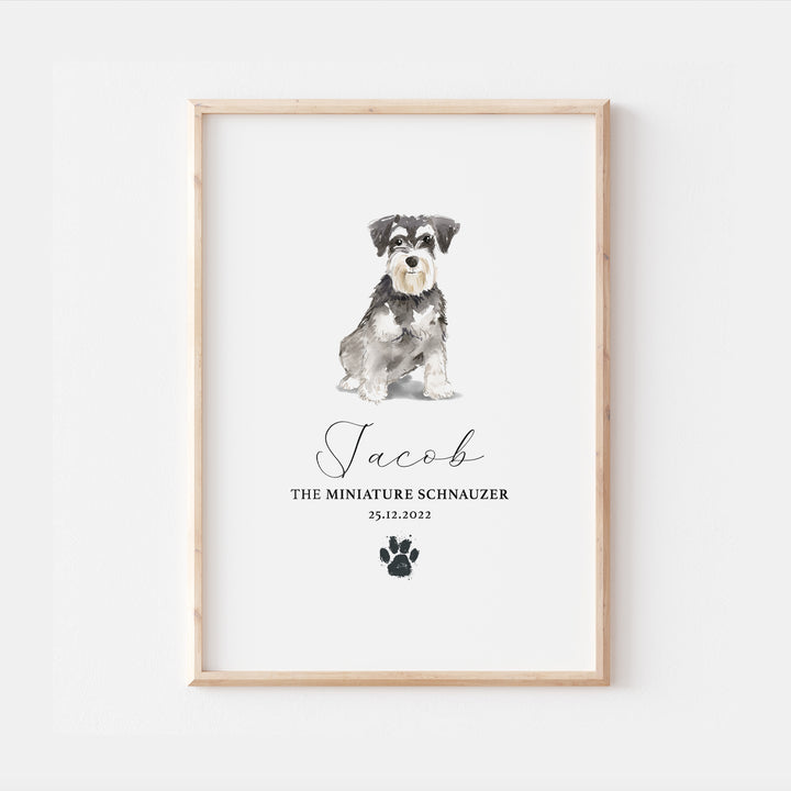 Personalised Miniature Schnauzer Dog Watercolour Print