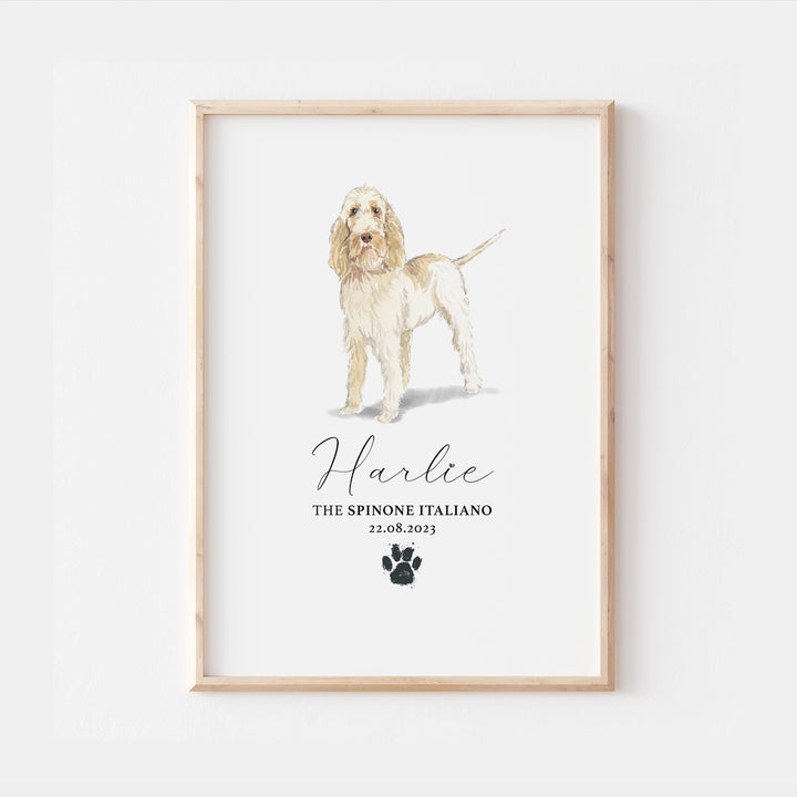 Personalised Spinone Italiano Dog Watercolour Print