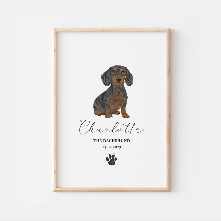 Personalised Dapple Black Dachshund Dog Watercolour Print