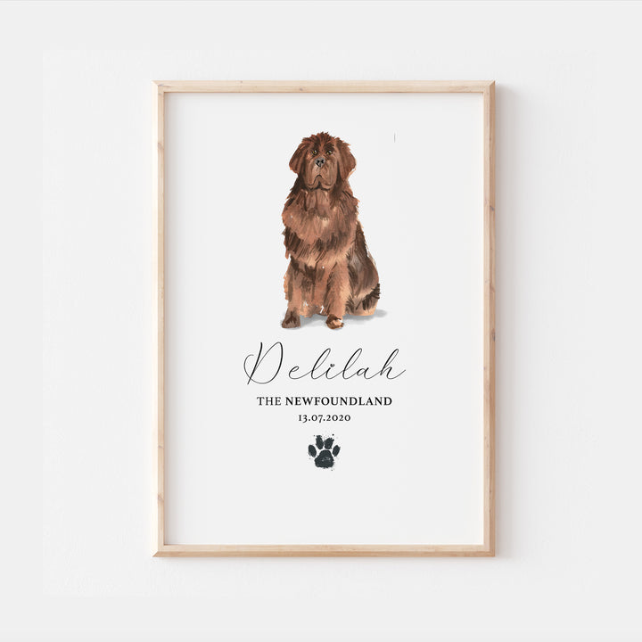 Personalised Newfoundland Dog Watercolour Print