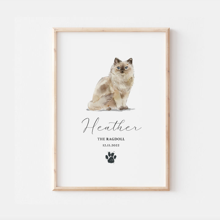 Personalised Ragdoll Cat Breed Watercolour Print