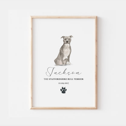 Personalised Blue Staffordshire Bull Terrier Dog Watercolour Print
