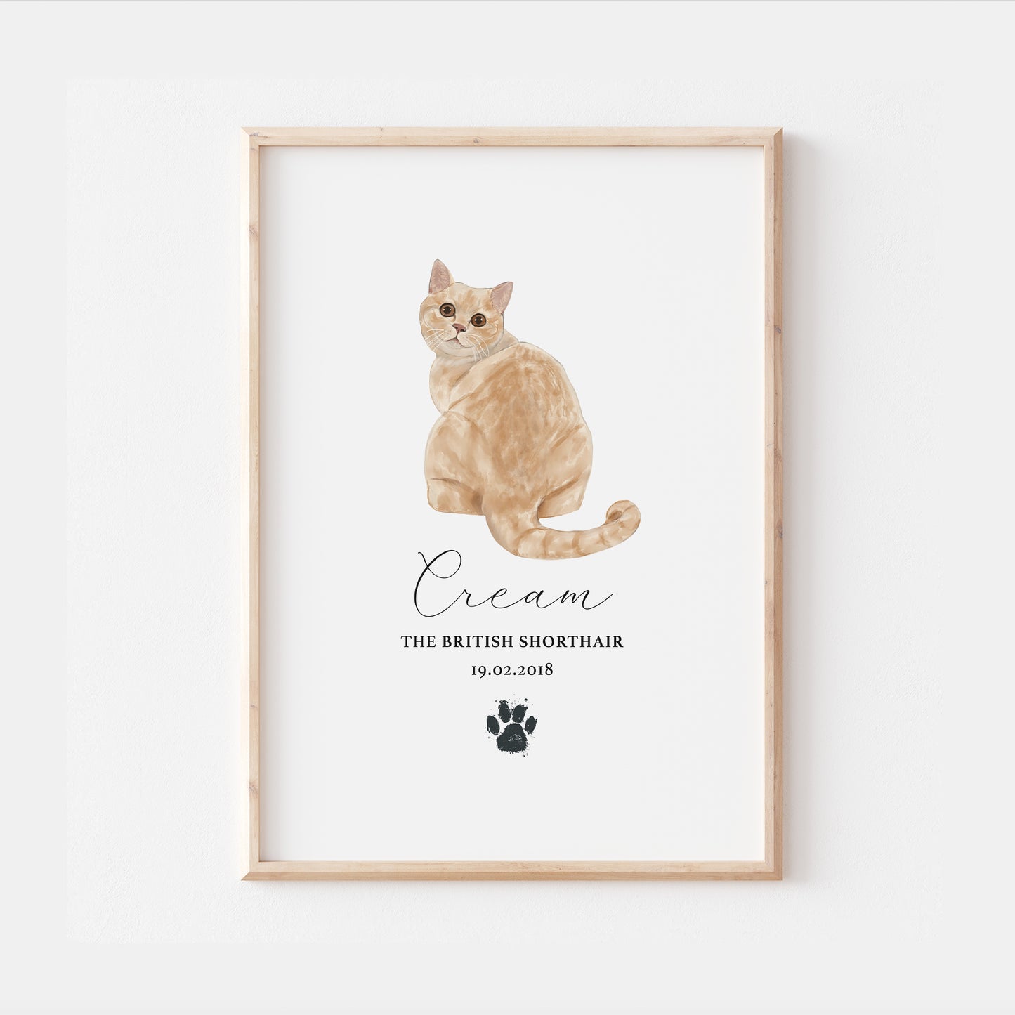 Personalised Cream British Shorthair Cat Breed Watercolour Print