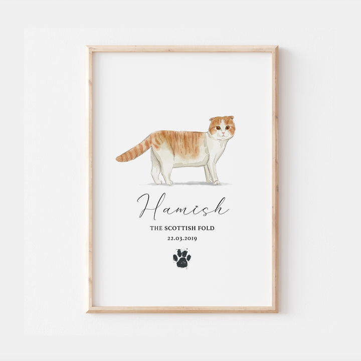 Personalised Scottish Fold Cat Breed Watercolour Print