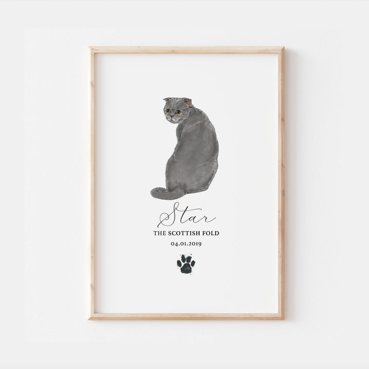 Personalised Blue Scottish Fold Cat Breed Watercolour Print