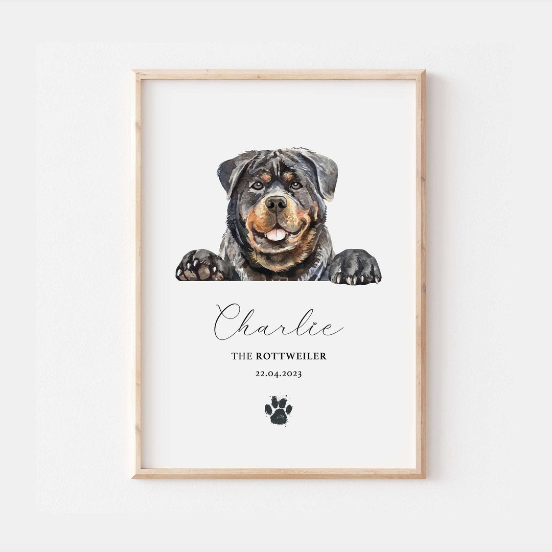 Personalised Rottweiler Dog Home Print