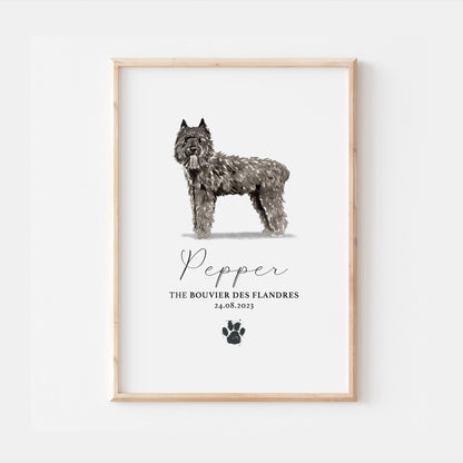 Personalised Bouvier Des Flandres Dog Home Print