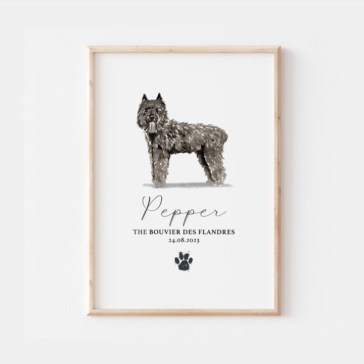 Personalised Bouvier Des Flandres Dog Home Print