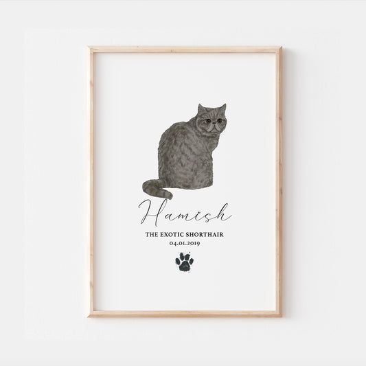 Personalised Blue Exotic Shorthair Cat Breed Watercolour Print