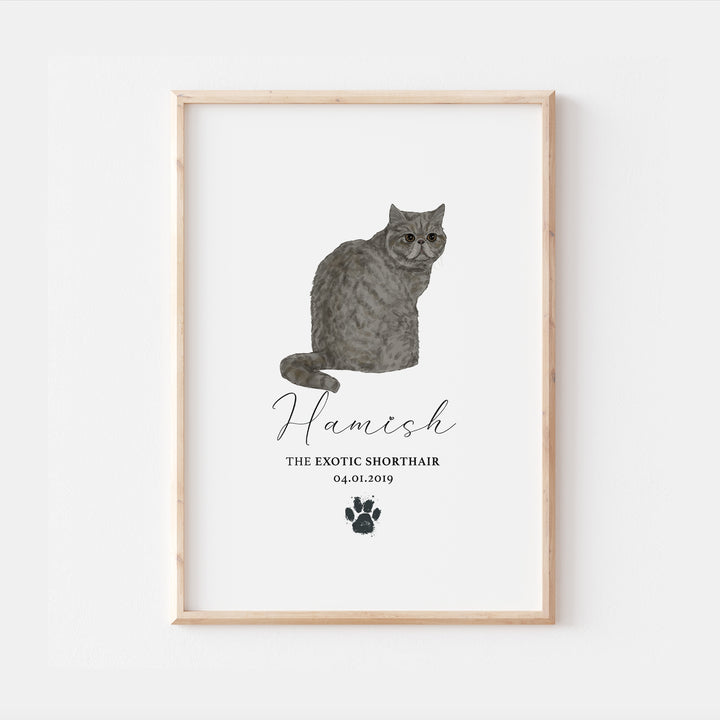 Personalised Blue Exotic Shorthair Cat Breed Watercolour Print