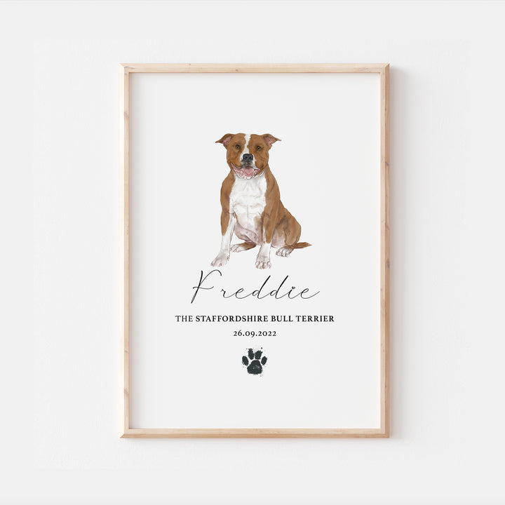 Personalised Red & White Staffordshire Bull Terrier Dog Watercolour Print