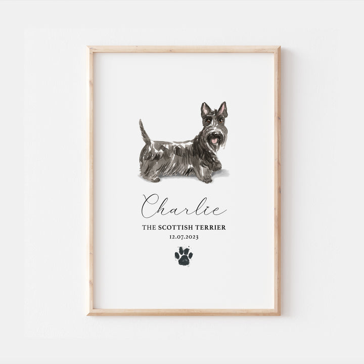 Personalised Scottish Terrier Dog Watercolour Print