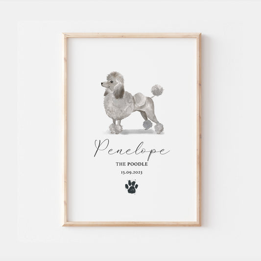 Personalised Grey Poodle Dog Watercolour Print