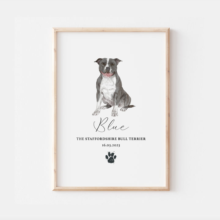 Personalised Blue & White Staffordshire Bull Terrier Dog Watercolour Print