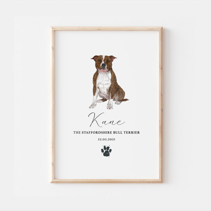 Personalised Brindle Staffordshire Bull Terrier Dog Watercolour Print