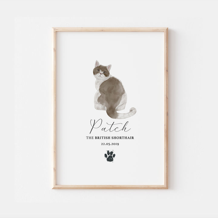 Personalised Bi Colour British Shorthair Cat Breed Watercolour Print