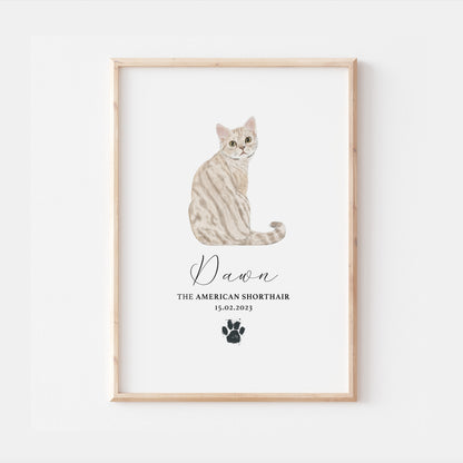 Personalised Cream American Shorthair Cat Breed Watercolour Print