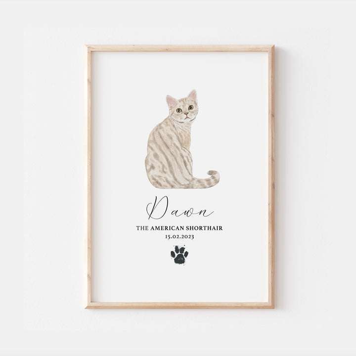 Personalised Cream American Shorthair Cat Breed Watercolour Print