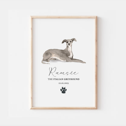 Personalised Italian Greyhound Dog Watercolour Print