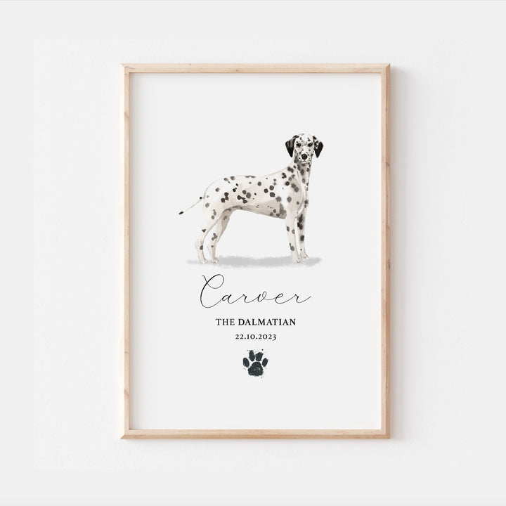 Personalised Dalmatian Dog Watercolour Print