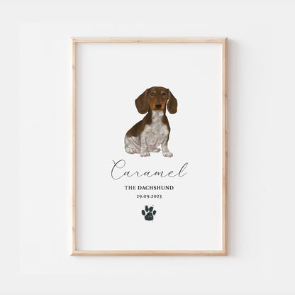 Personalised Brown & White Dachshund Dog Watercolour Print