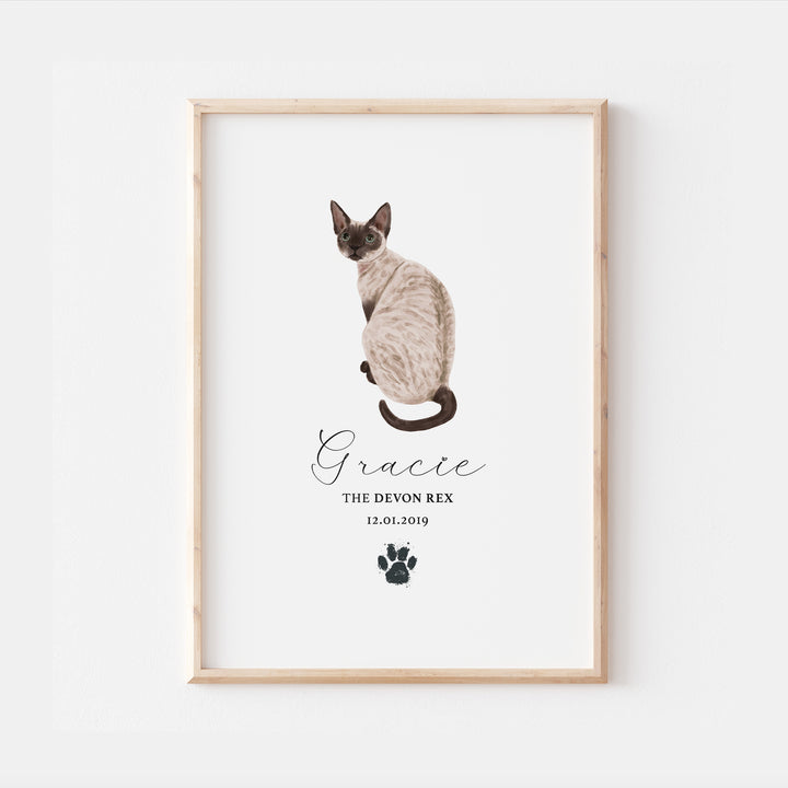 Personalised Dark Pointed Devon Rex Cat Breed Watercolour Print