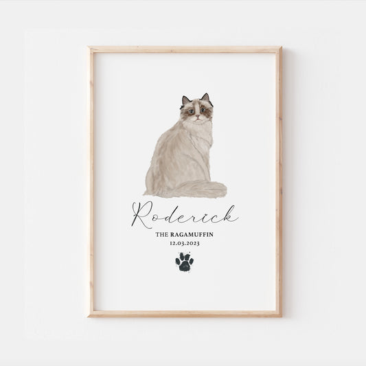Personalised Mink Ragamuffin Cat Breed Watercolour Print