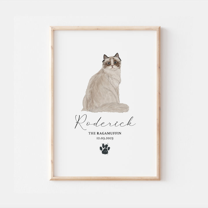 Personalised Mink Ragamuffin Cat Breed Watercolour Print