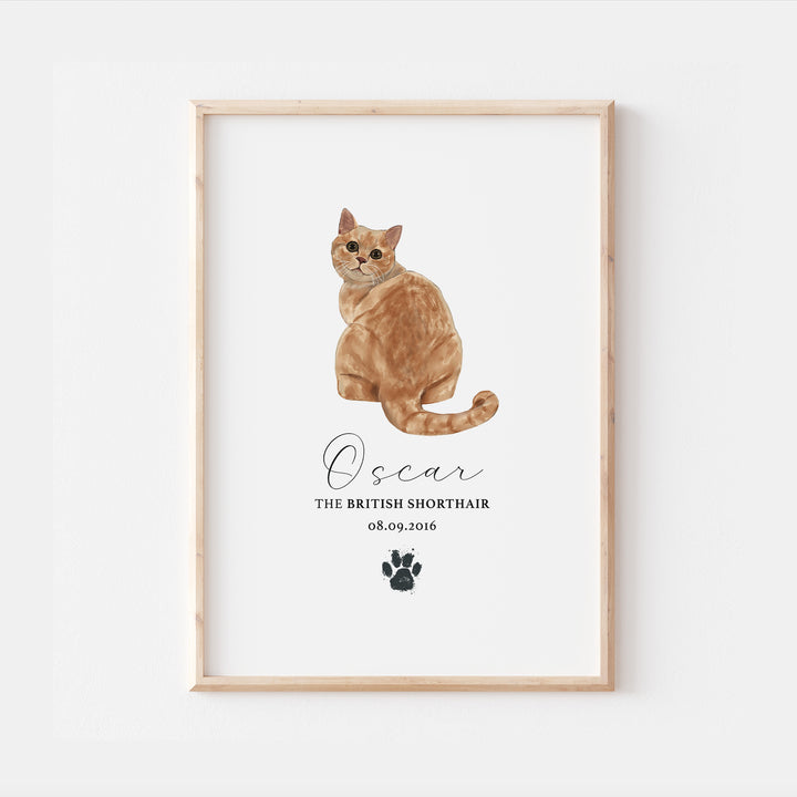 Personalised Red British Shorthair Cat Breed Watercolour Print