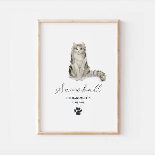 Personalised Ragamuffin Cat Breed Watercolour Print