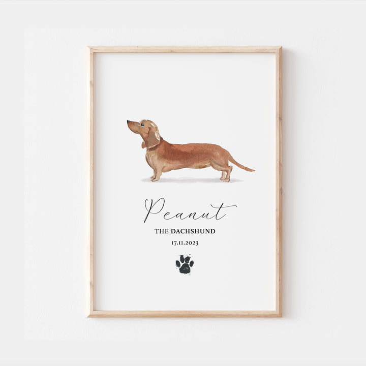 Personalised Tan Dachshund Dog Watercolour Print