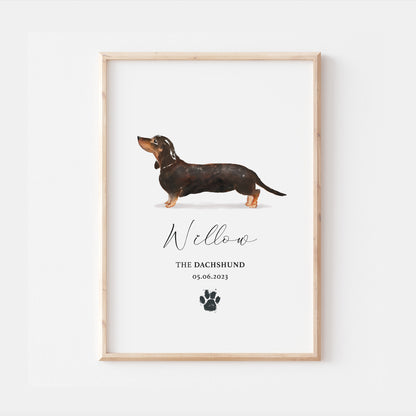 Personalised Black Tan Dachshund Dog Watercolour Print