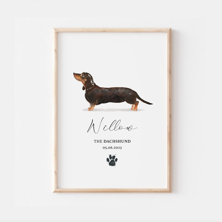 Personalised Black Tan Dachshund Dog Watercolour Print