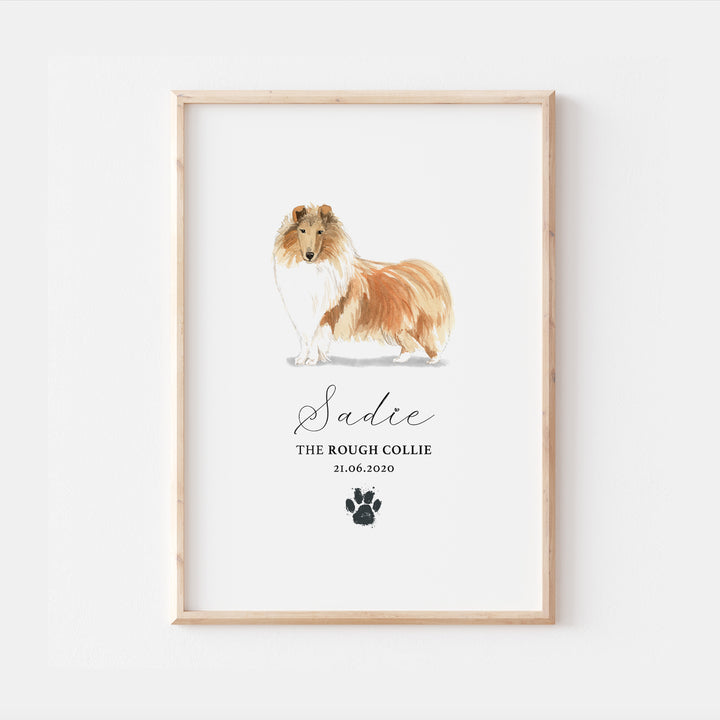 Personalised Rough Collie Dog Watercolour Print