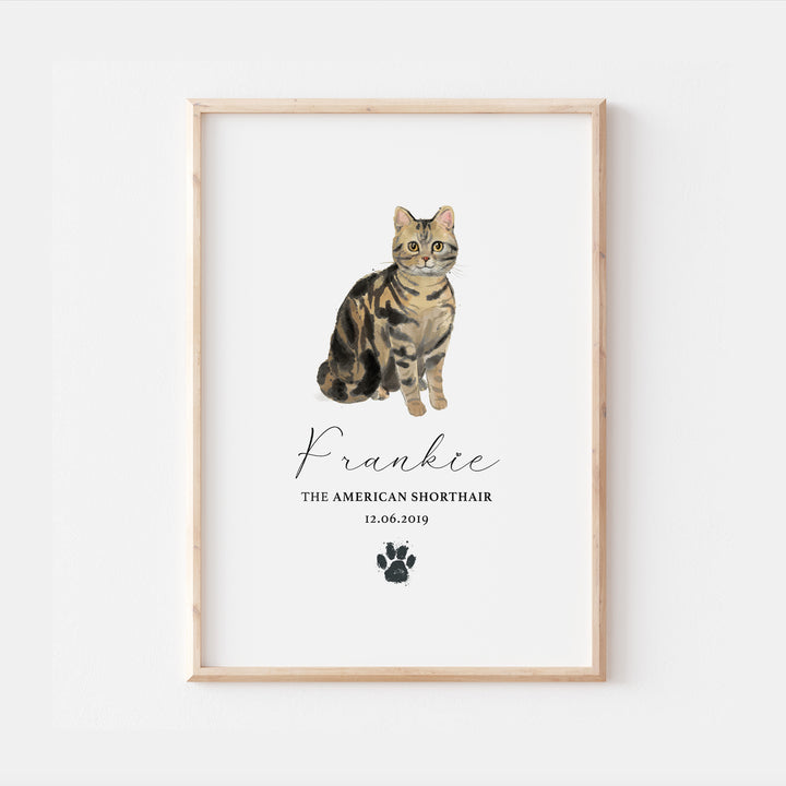 Personalised American Shorthair Cat Breed Watercolour Print