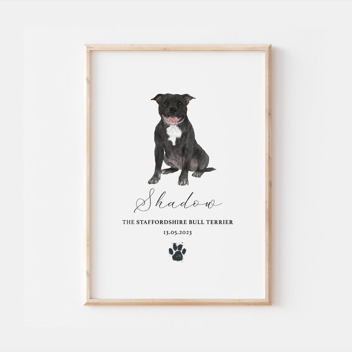 Personalised Black Staffordshire Bull Terrier Dog Watercolour Print